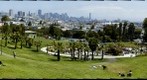 Dolores Park 3