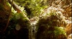 Portola Waterfall