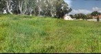 Brandes st Hadera A