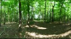 Dairy Bush GigaPan - 144 - May 30 2012