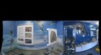 Bridport Museum Jurassic Coast Gallery