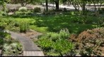 Napa Valley garden