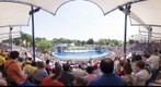 Delfinario del Zoo de Madrid