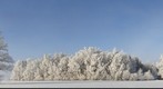 Latvia winter landscape panorama