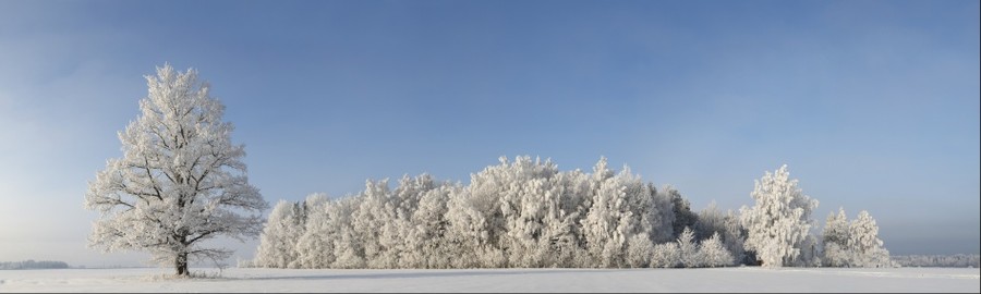 106679-900x270