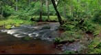 River Kumada. Cesu district. Latvia.
