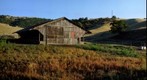 California Open Sided Barn Left image