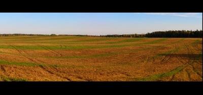 106701-400x189
