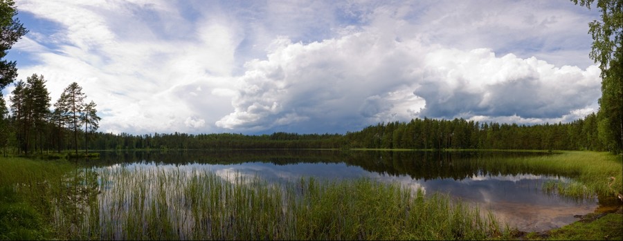 106704-900x349