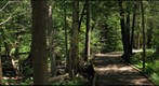 Miller Creek Wetlands - Panorama 