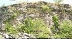 Oakes Quarry Park-Brassfield Formation