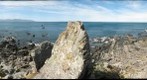 Wellington Coast, New Zealand