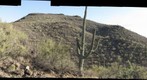 Tumamoc Hill from Desert Lab, Looking South