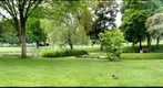 Congress Park (2nd Pan)