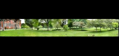 106984-400x189