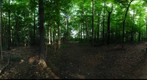 Dairy Bush GigaPan - 145 – June 06 2012