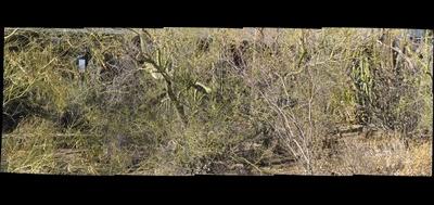 107050-400x189