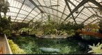 Bassin Lamantin - Zoo Beauval