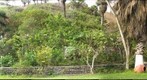 Field House Garden