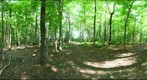 Dairy Bush GigaPan - 146 – June 13 2012