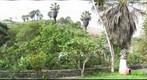 Field House Garden Version 2