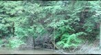 Spa State Park, Calcite and River