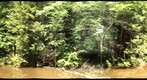 Orenda Spring Site (360)