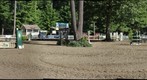 Saratoga Classic 1c