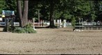 Saratoga Classic 1d