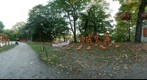 Van Cortlandt Manor Blaze--Hanging cages