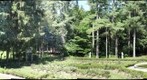 Yaddo Park 3