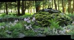 Yaddo Park 5 (hand_giga)