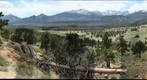 Upper Beaver Medows 2