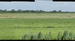 Platteland in de randstad