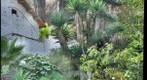 Backyard Garden Version 3
