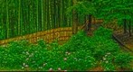 Landscape with the hydrangea