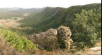 Puig Rodó (Olot area)