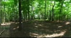 Dairy Bush GigaPan - 147 – June 20 2012