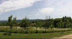 20090607-Balabansko-Maria&Plamen
