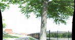 Gigapan at West Liberty University