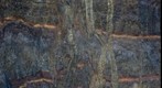 20091230-(1)TheNorthEastMadeiraWalks-Viewpoint1 (panorama 03)