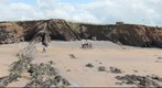 Folded and faulted rocks at Summerleaze Beach, Bude
