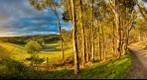 Sunset Near Dunmoochin Artist Residency