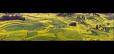 108288-400x189