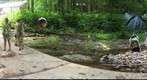 Furnow State Forest 2