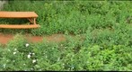 Education Garden 3