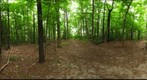 Dairy Bush GigaPan - 148 – June 27 2012