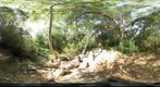 Cr1 2012 06 27