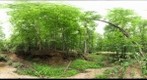 Abbotts Creek Trail Bridge