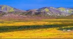 Carrizo Plain National Monument